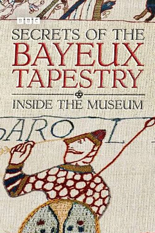 Secrets of the Bayeux Tapestry: Inside the Museum