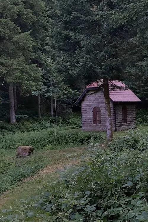 UBFO (Unidentified Black Forest Object)