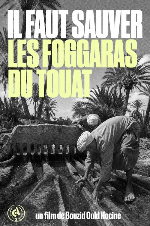 We Must Save the Foggaras of Touat