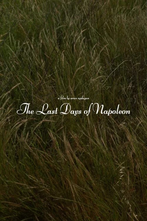 The Last Days of Napoléon